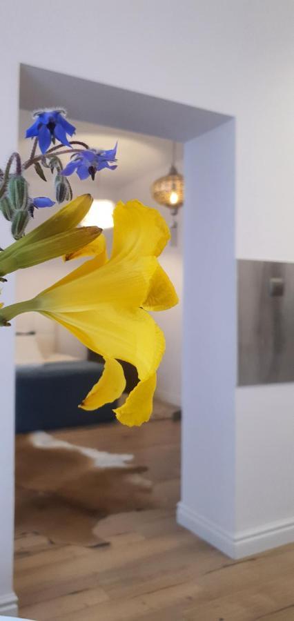 Old Town Apartment พอซนาน ภายนอก รูปภาพ